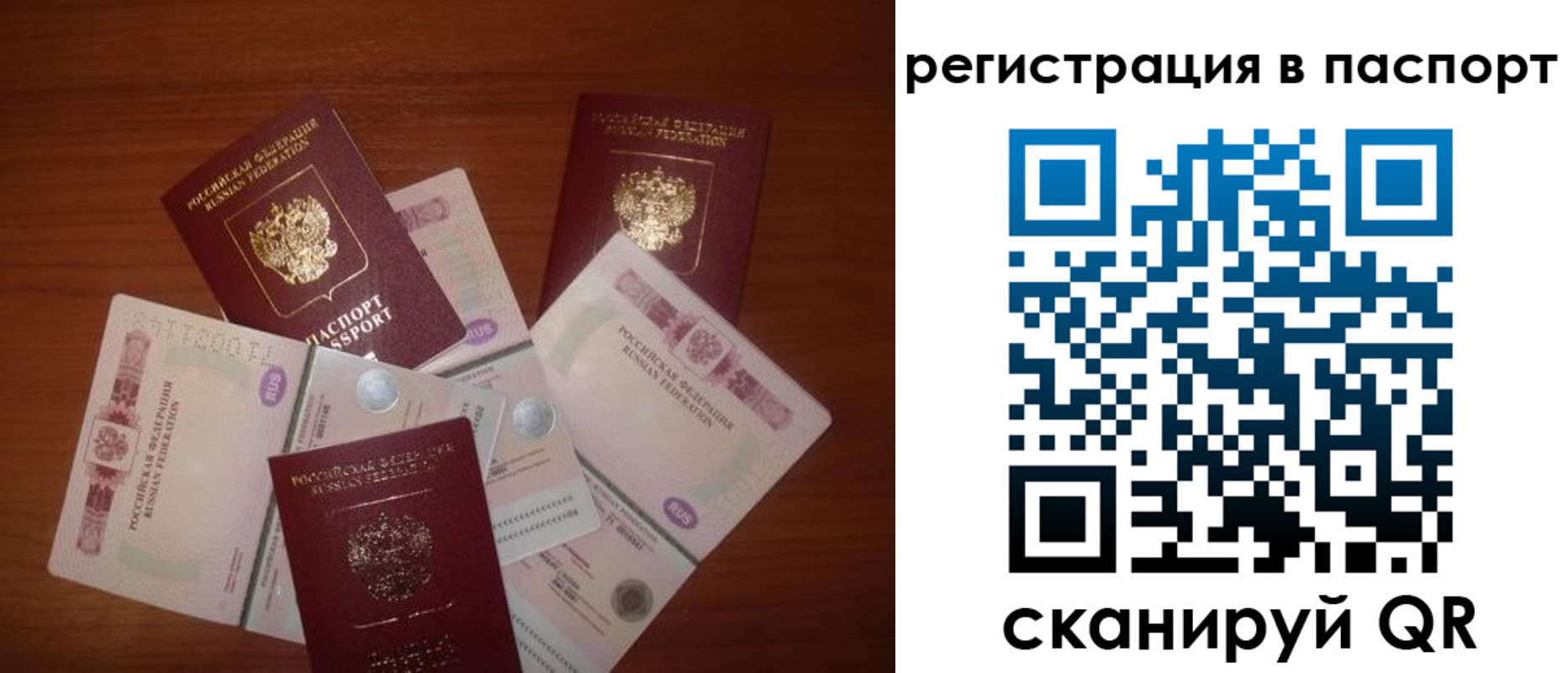 временная регистрация поиск в Самарской области